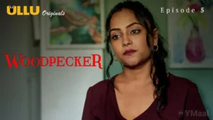 Woodpecker Episode 5